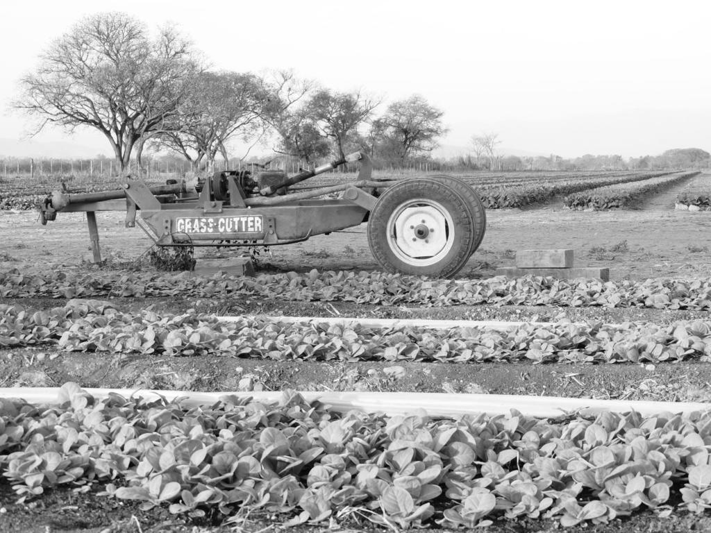 Finca Las Margaritas Chicoana Dış mekan fotoğraf