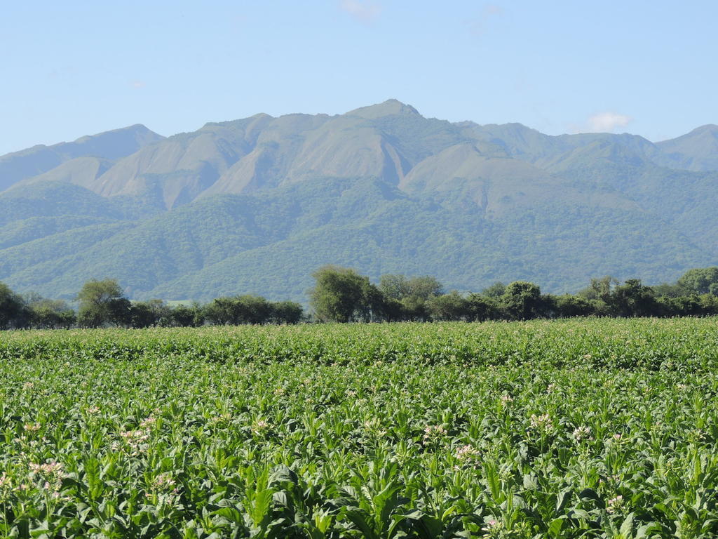 Finca Las Margaritas Chicoana Dış mekan fotoğraf