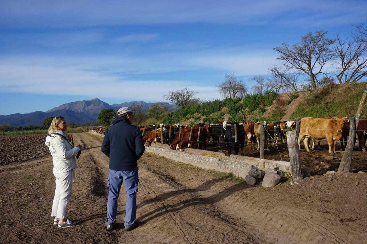 Finca Las Margaritas Chicoana Dış mekan fotoğraf