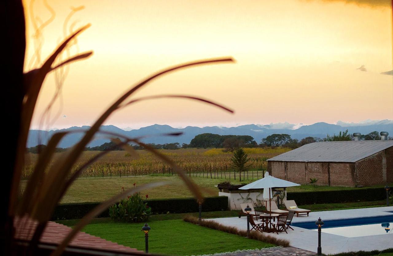 Finca Las Margaritas Chicoana Dış mekan fotoğraf
